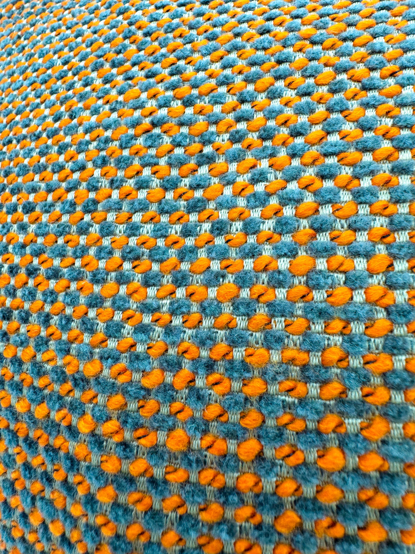 Colourful Jungle Animals Pillow