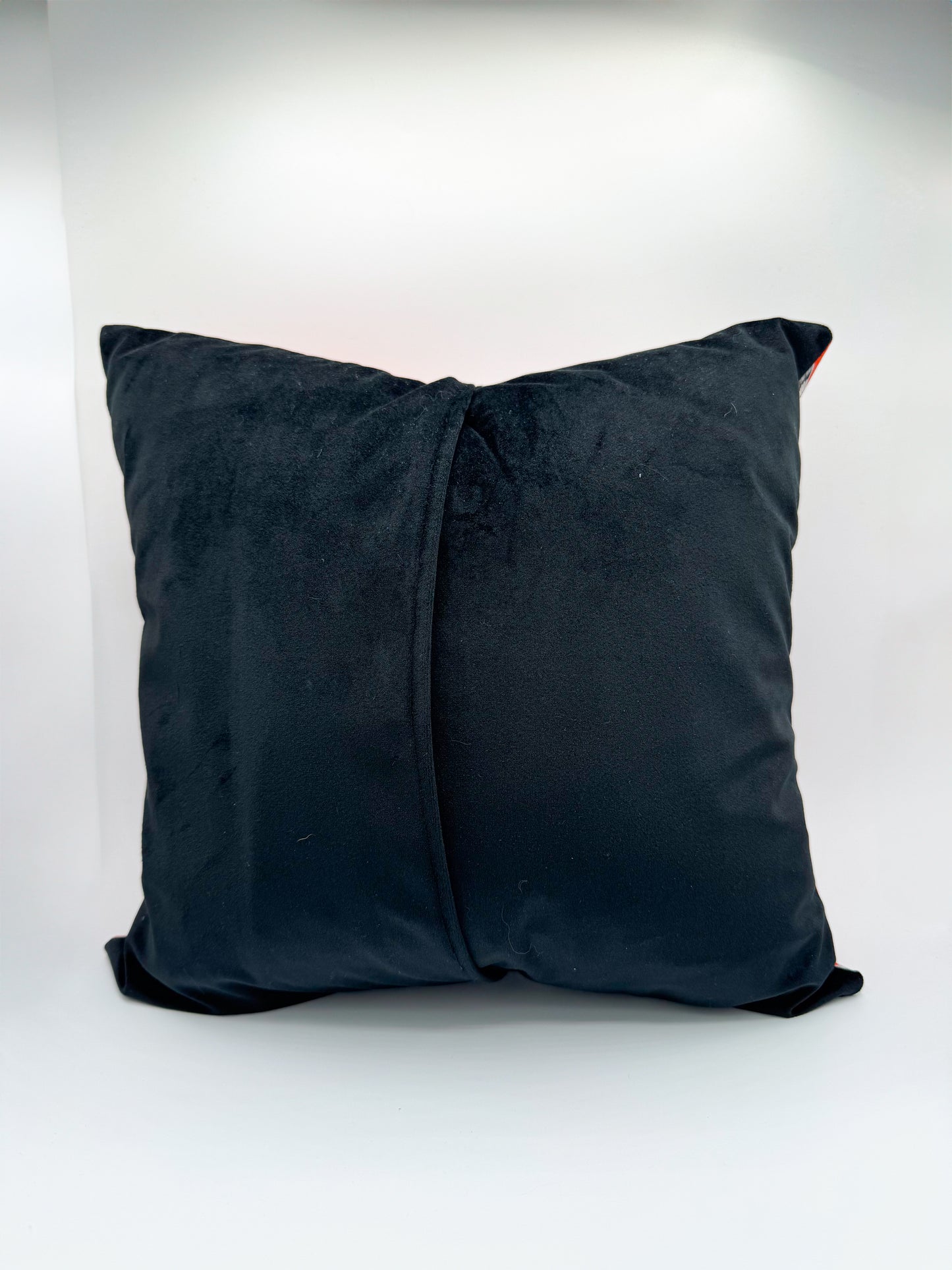 Animal Safari and Black Velvet Pillow