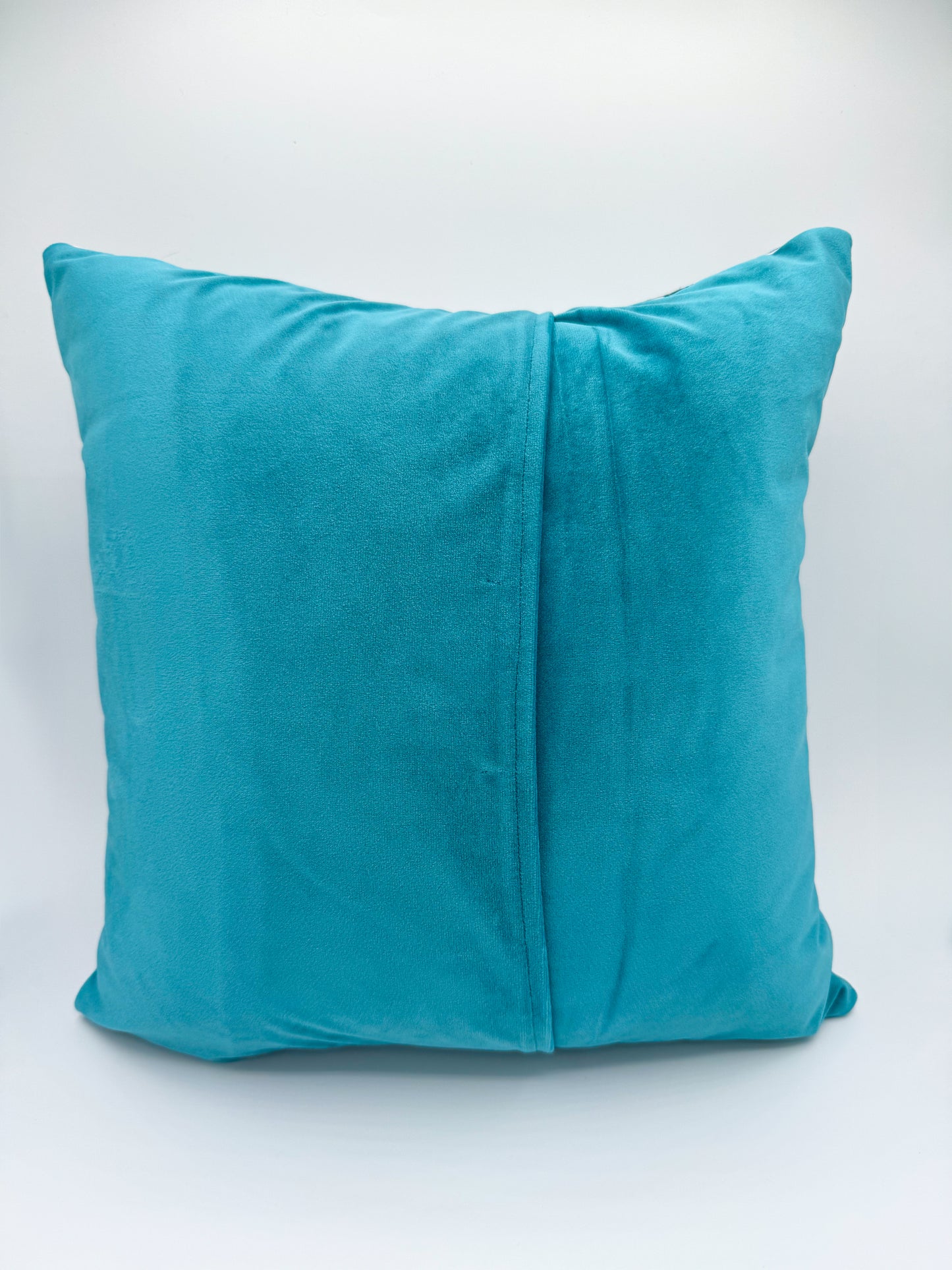 Blue Details & Light Blue Velvet Pillow