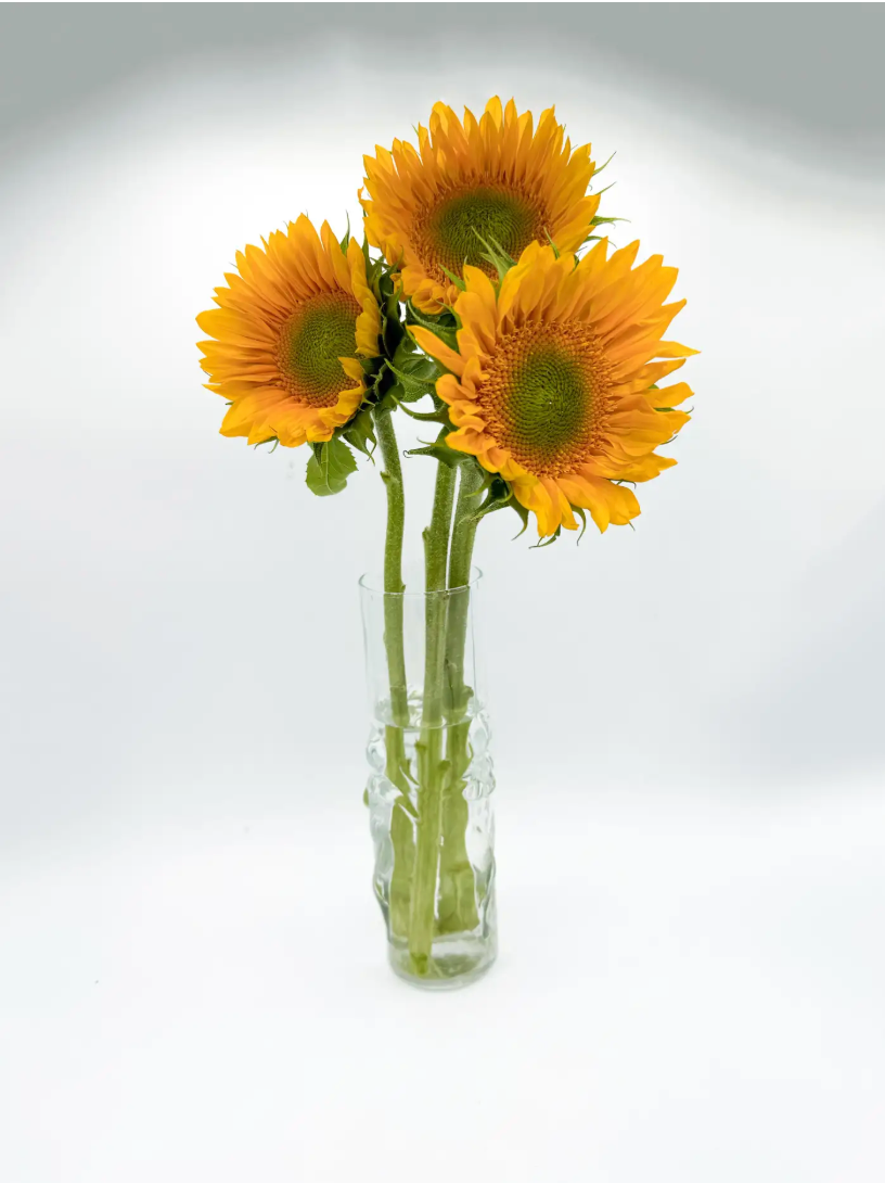 Vintage Libbey La Femme Highball Female Body Glass